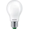 Philips Filament, matt, 100W E27 (2700 Kelvin) bulb