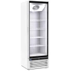 IARP Glee 45 Lite