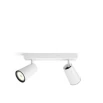 Philips PAISLEY beamspot 2fl.